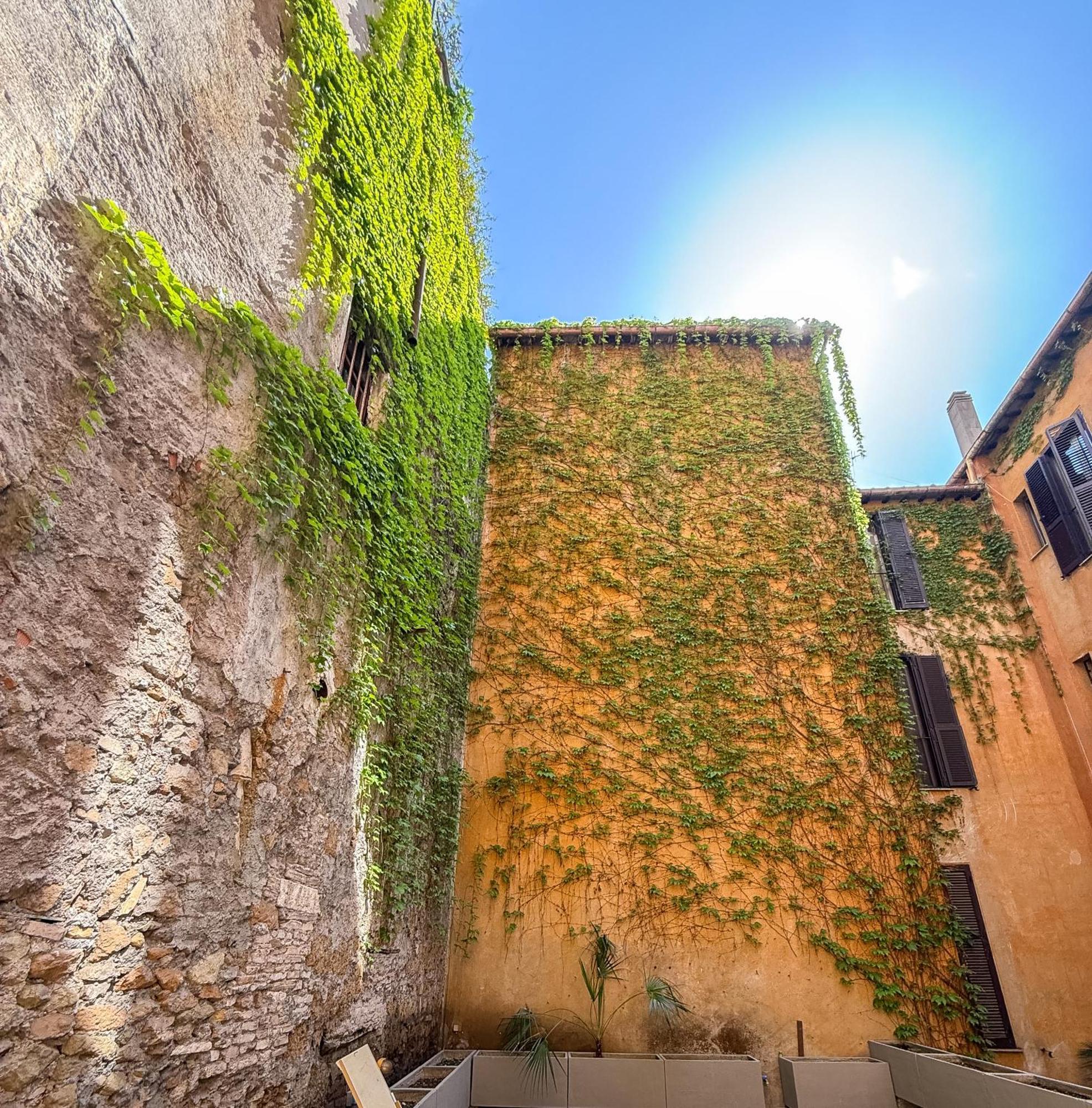 Pantheon Urbes Collection